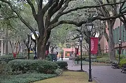 College of Charleston campus