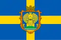 Flag of Sofiivska Borshchahivka