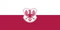 Flag of Kranj