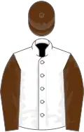 White, brown sleeves and cap